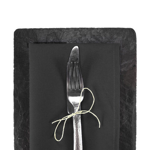 Arkwright Cloth Napkins, Large 20x20, 300 Bulk Case, Solid