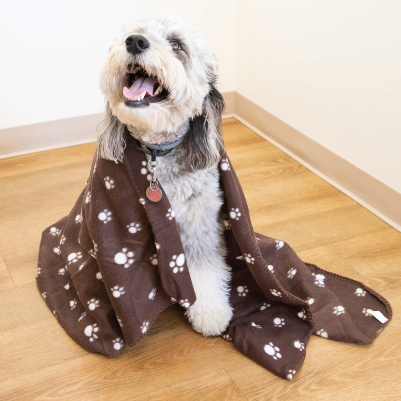Bulk Case of Pet Blankets, Size Options, Soft Polar Fleece, Paws Design