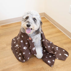 Pet Blankets, Size Options, Soft Polar Fleece, Paws Design, Pack of 6